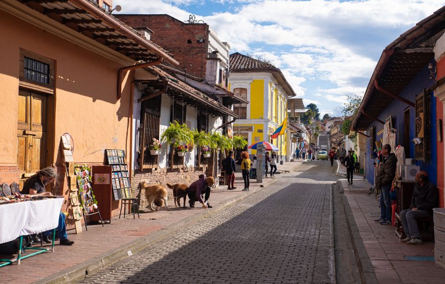 Tour around La Candelaria with a Social Scientist