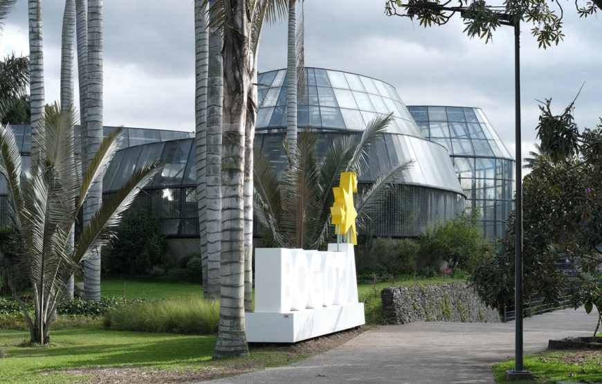 Botanical Garden. ‘All forests in a garden’
