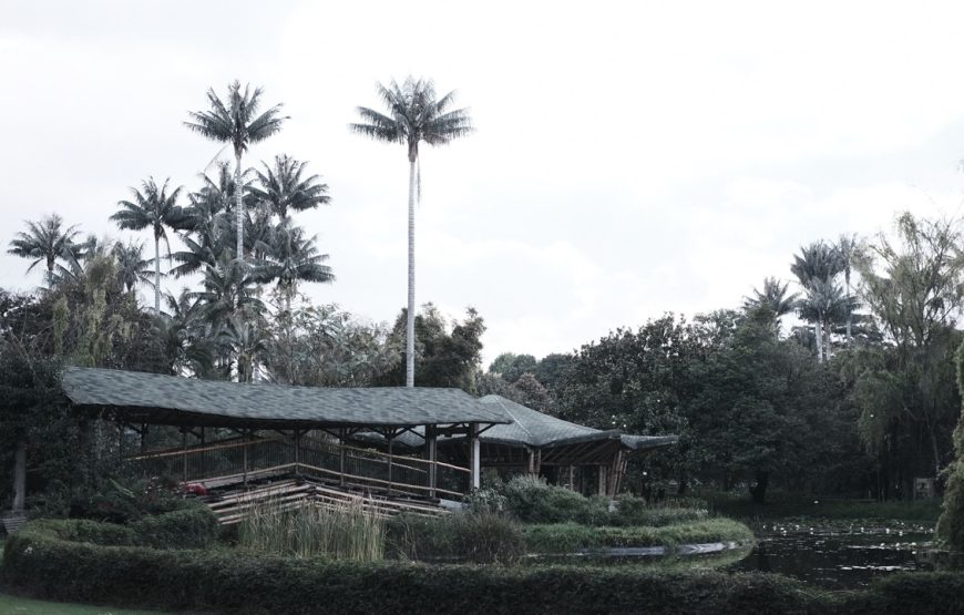 Botanical Garden. ‘All forests in a garden’