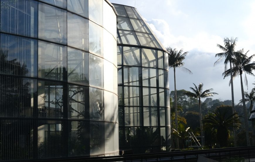 Botanical Garden. ‘All forests in a garden’