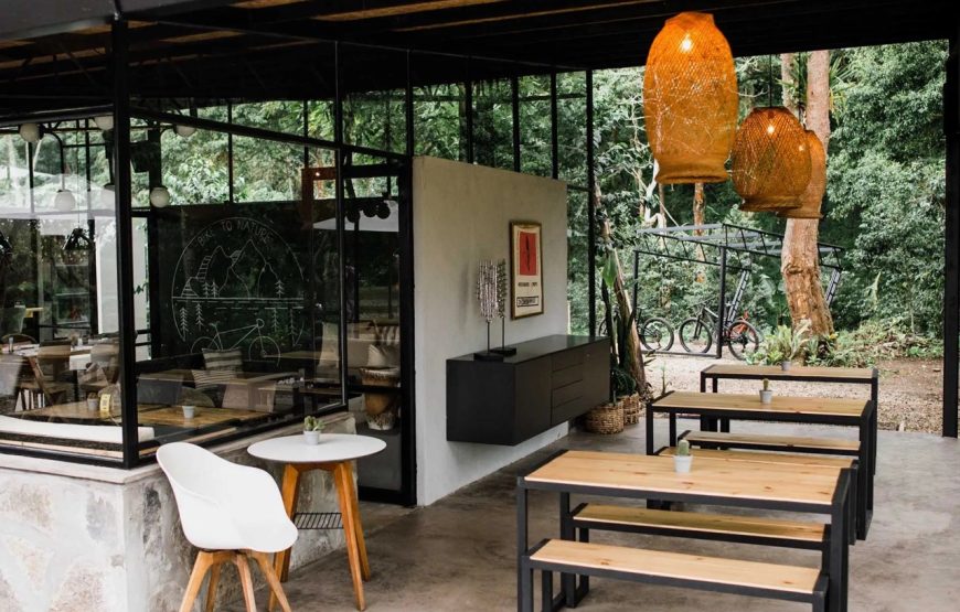Specialty Coffee Farm. A luxury experience for coffee lovers