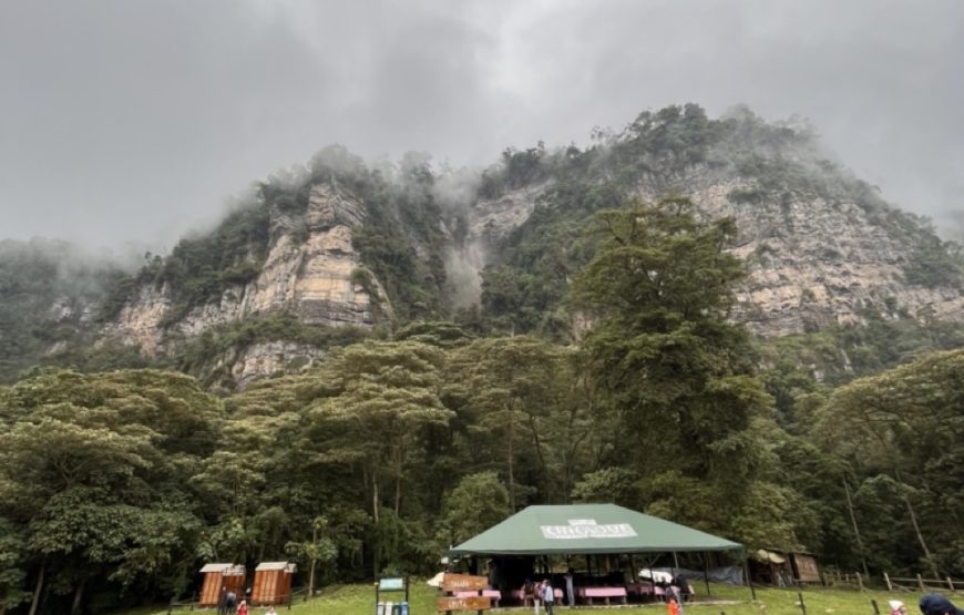 Chicaqué Natural Park. High Andean Forest