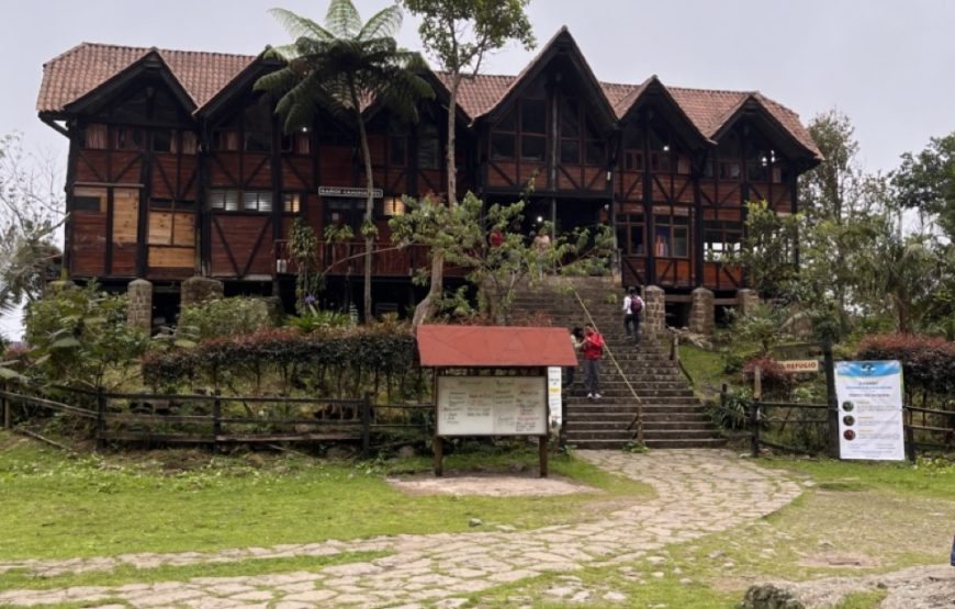Chicaqué Natural Park. High Andean Forest