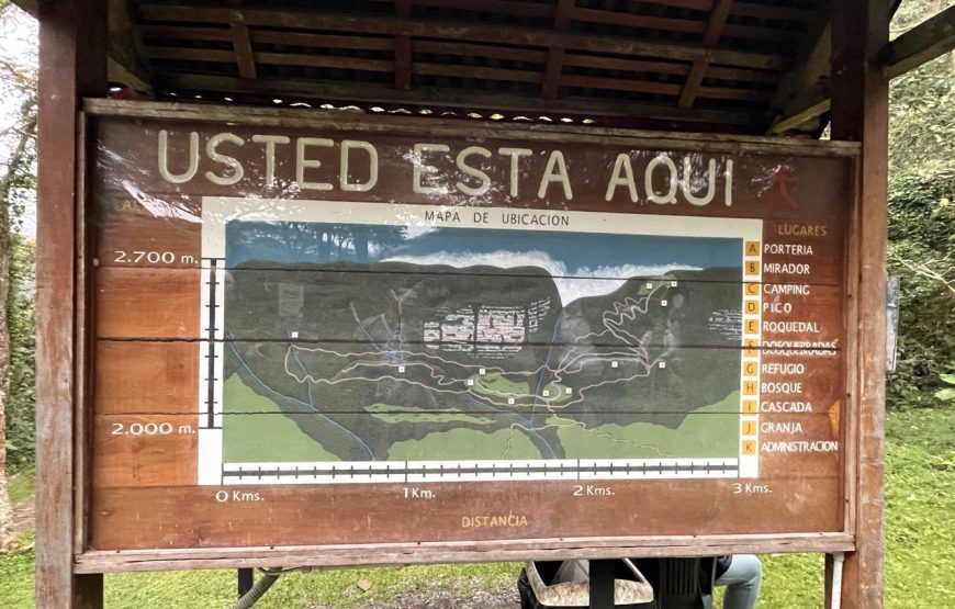 Chicaqué Natural Park. High Andean Forest