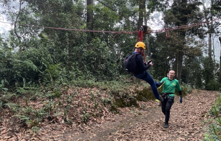 Chicaqué Natural Park. High Andean Forest