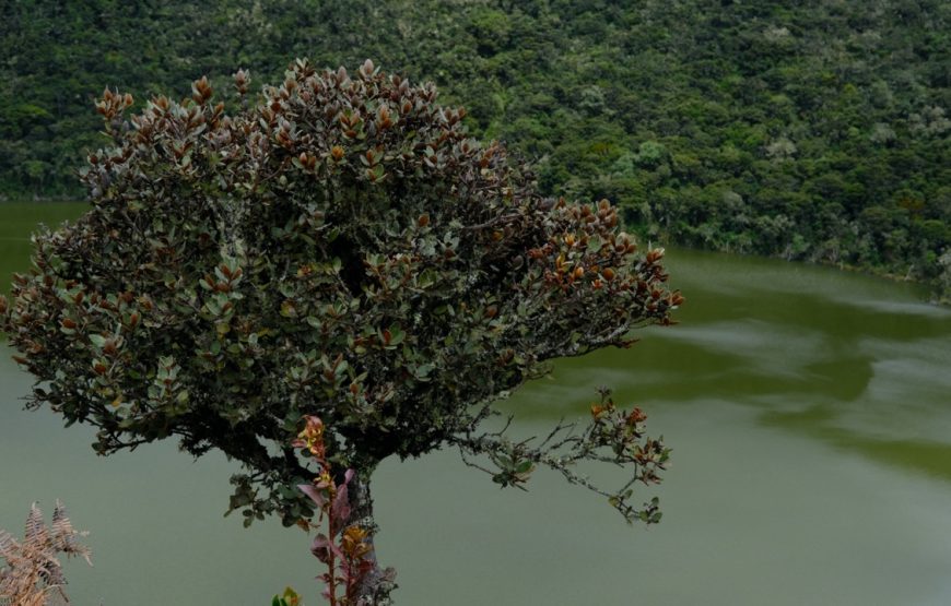 Guatavita. The Offering Raft Lagoon