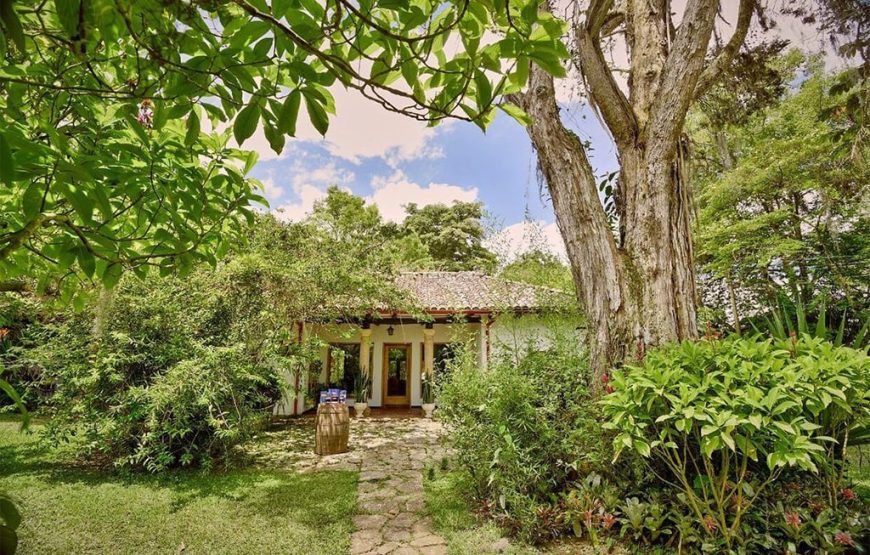 Traditional Coffee Farm